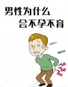 男性不育怎么治疗最有效