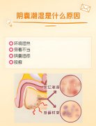 男性阴囊潮湿和瘙痒怎么办