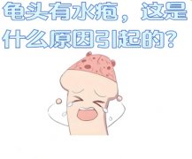 包皮上长水泡是什么原因