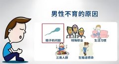 男性怎么自查生育能力