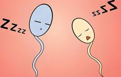 男性不育可以做试管吗