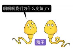 禁欲了14天精子才10天正常吗