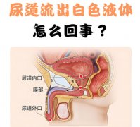 尿道感染流脓是什么原因造成的