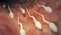 精子活力10%能生育吗