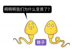 男性精液偏黄正常吗