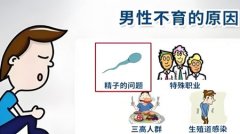 男性没有生育功能的特征