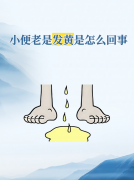 尿黄、小便异味怎么回事