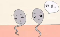 射精障碍主要类型有哪些